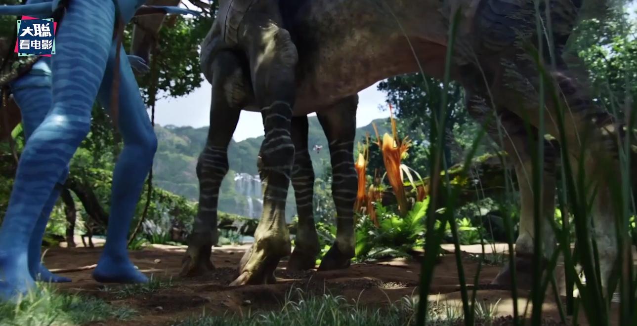 阿凡达细节讲解,阿凡达2全过程讲解