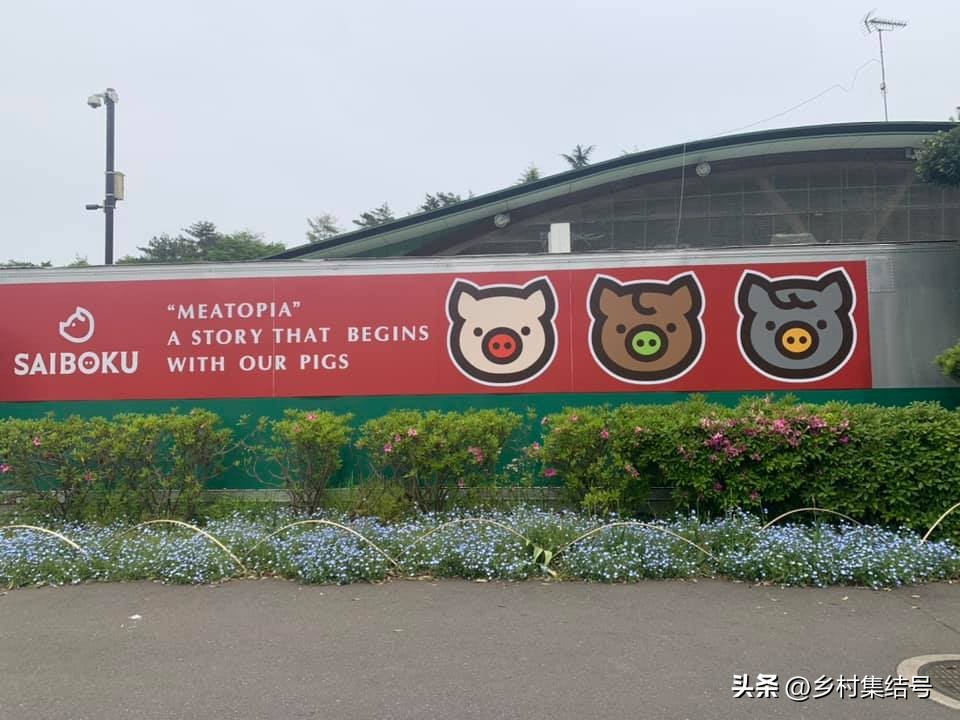 日本埼玉种畜牧场：被称为“农业迪士尼乐园”，三产融合典型！