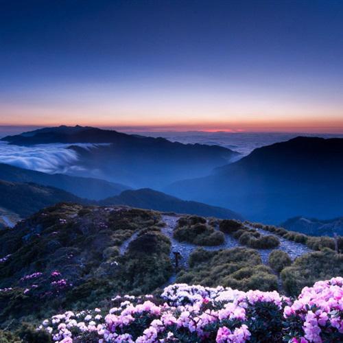 太惨了，湖北女幼师被咬隐私部位，狗主人拒赔，女子：我怎么嫁人