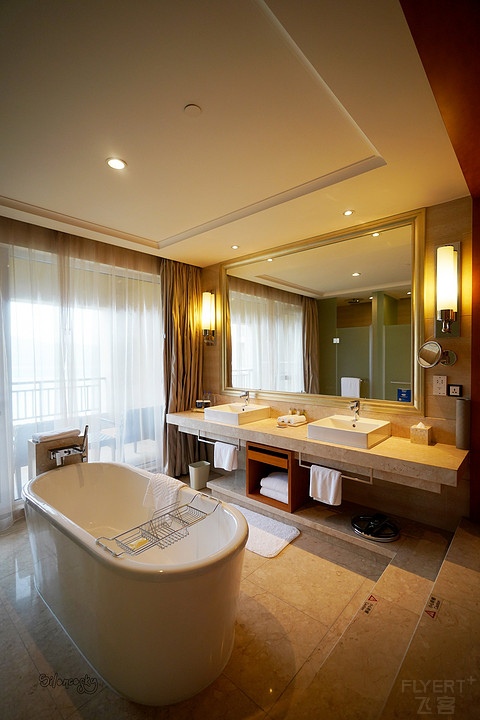 希尔顿酒店各品牌定位,希尔顿中国酒店排名