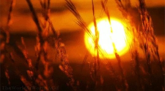 房屋被污水泡了怎么清理,怎么清洁被水泡过的房子