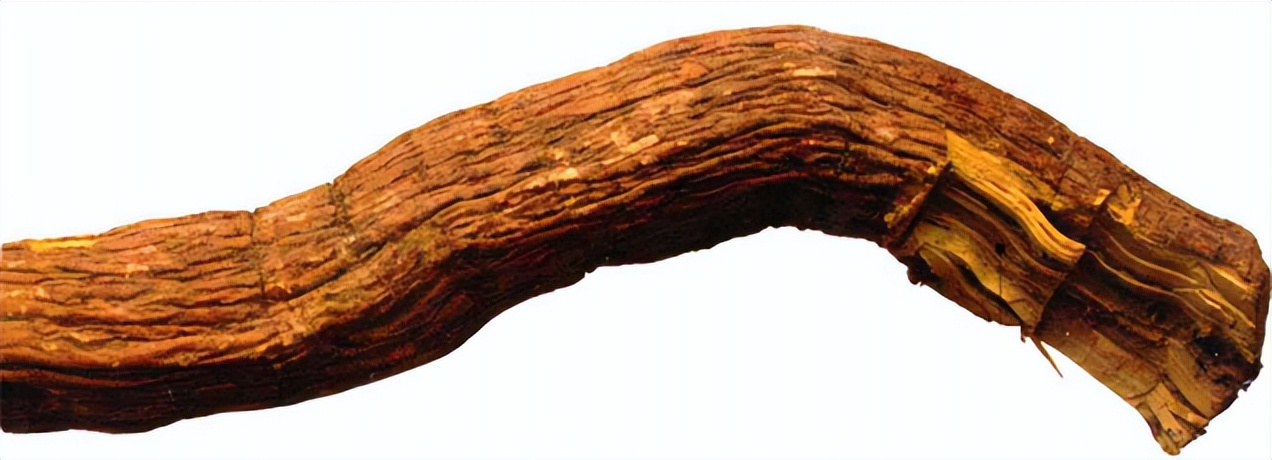 带你识别新型毒品,带你识别厚朴