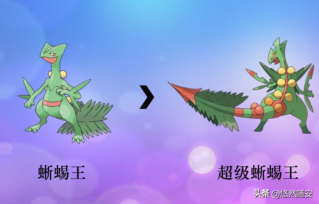 宝可梦伊布全部进化形态,宝可梦剑盾泪眼蜥进化形态