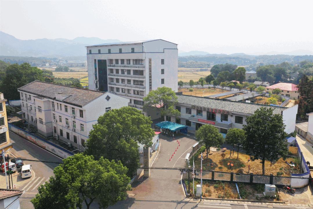 非凡十年医学,非凡十年公共服务