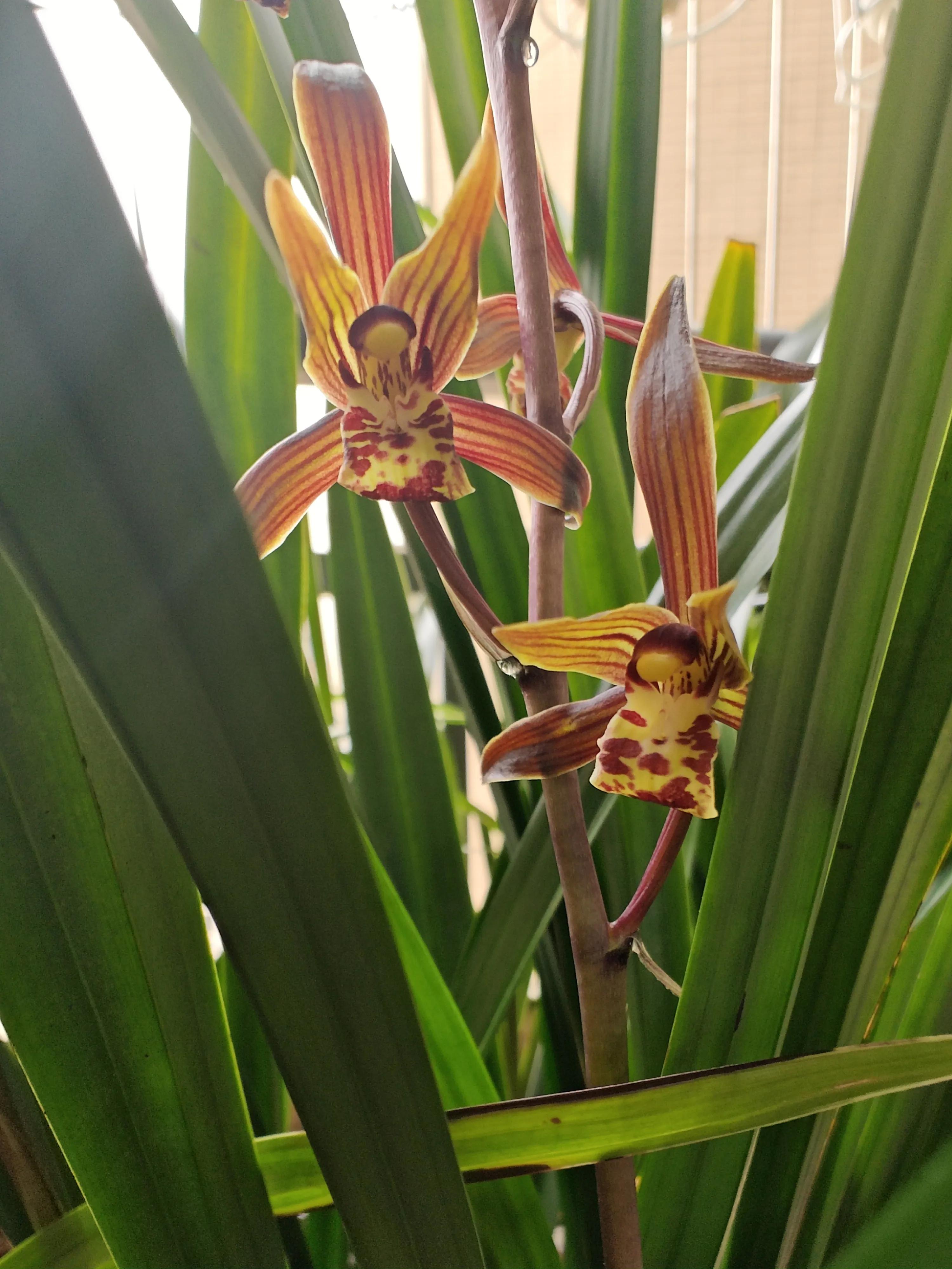 记事本日记图片,记事本日记本