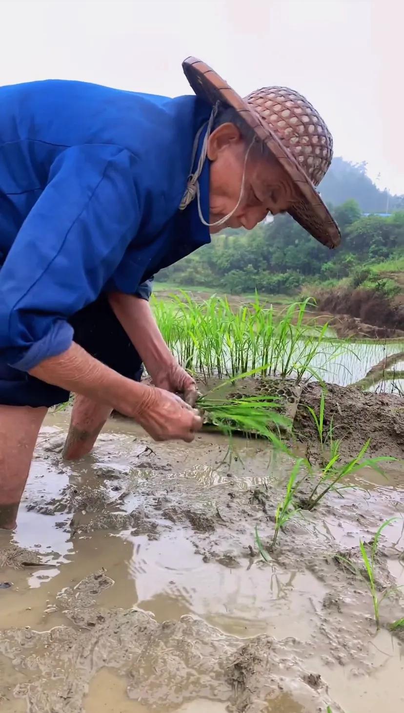 专家：农业就是暴利行业！大爷听后立马给专家上了一课
