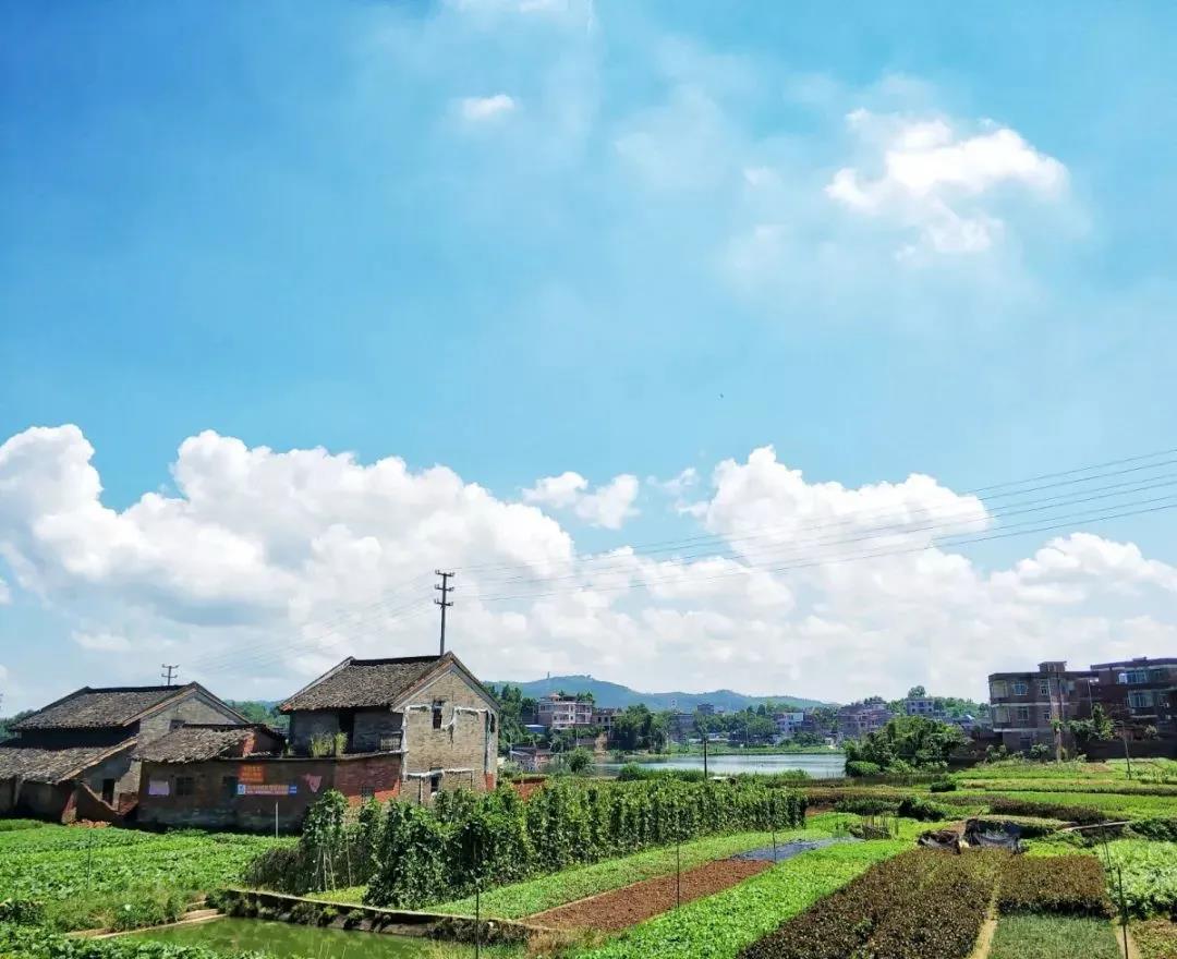 眼周的护肤小窍门,眼周的正确护肤流程