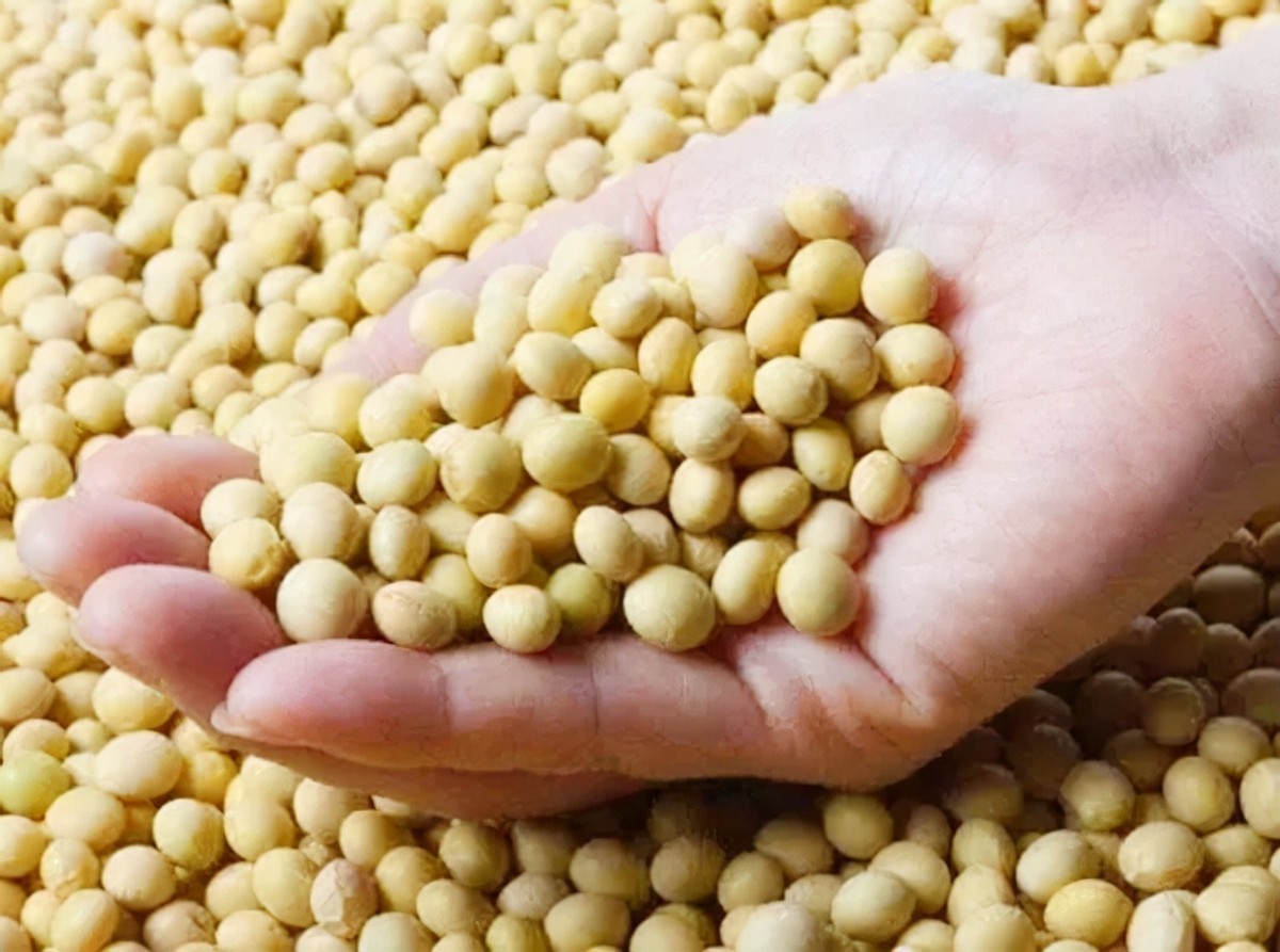 美国粮食比中国的便宜吗,美国与中国粮食产量对比