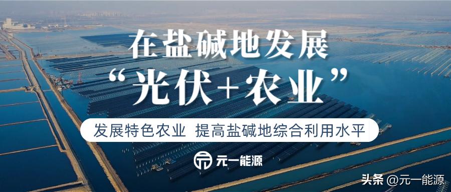 海洋污染对农村有什么不好,滩涂光伏对生态的影响