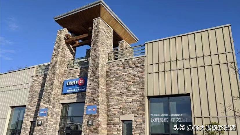 加拿大官宣：普通话成为第一大非官方语言