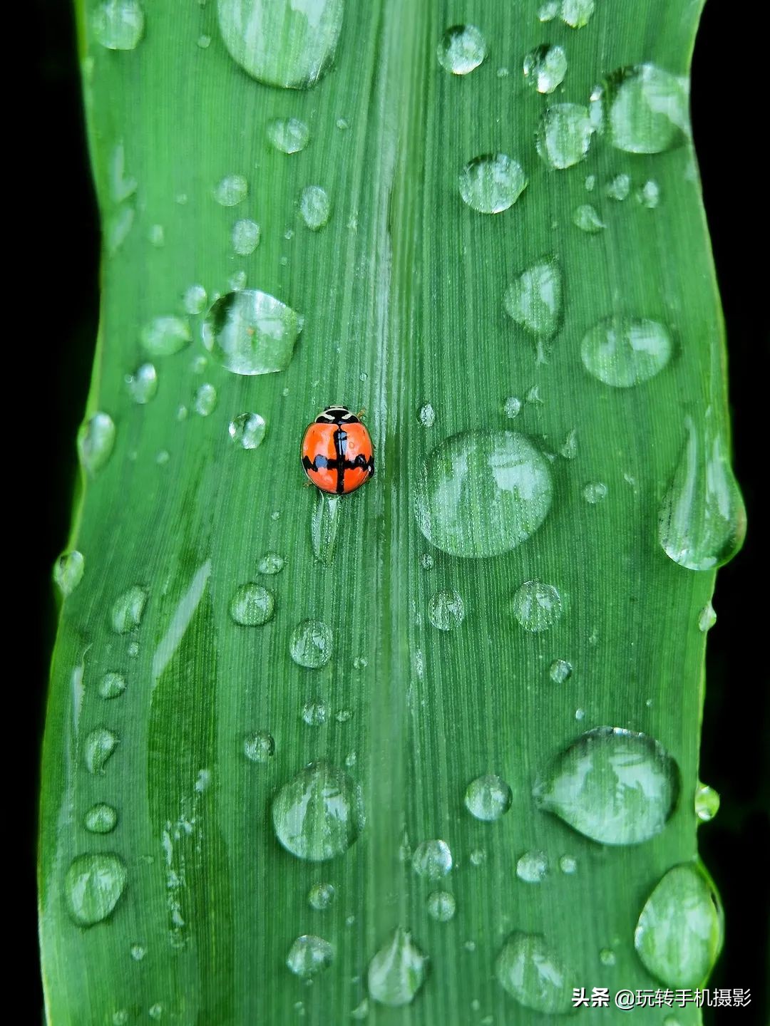 五月给你点“颜色”瞧瞧！照片想出圈，这样拍就对了