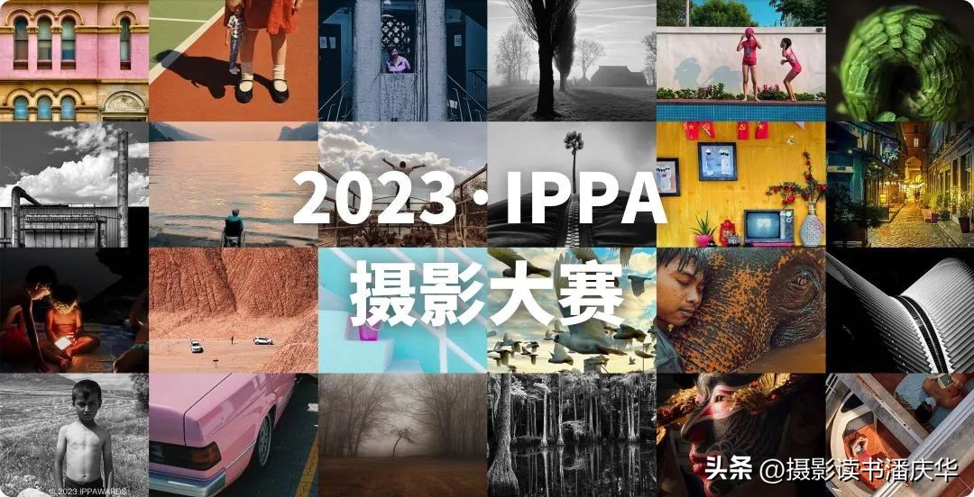 2020ippa摄影大赛获奖作品,ippa手机摄影大赛金奖
