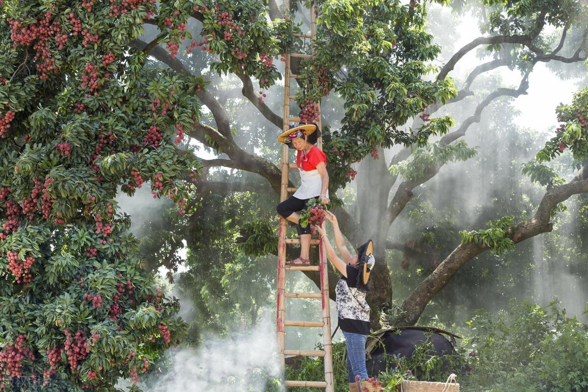东莞美食和地标简介及特点,东莞的美食历史文化
