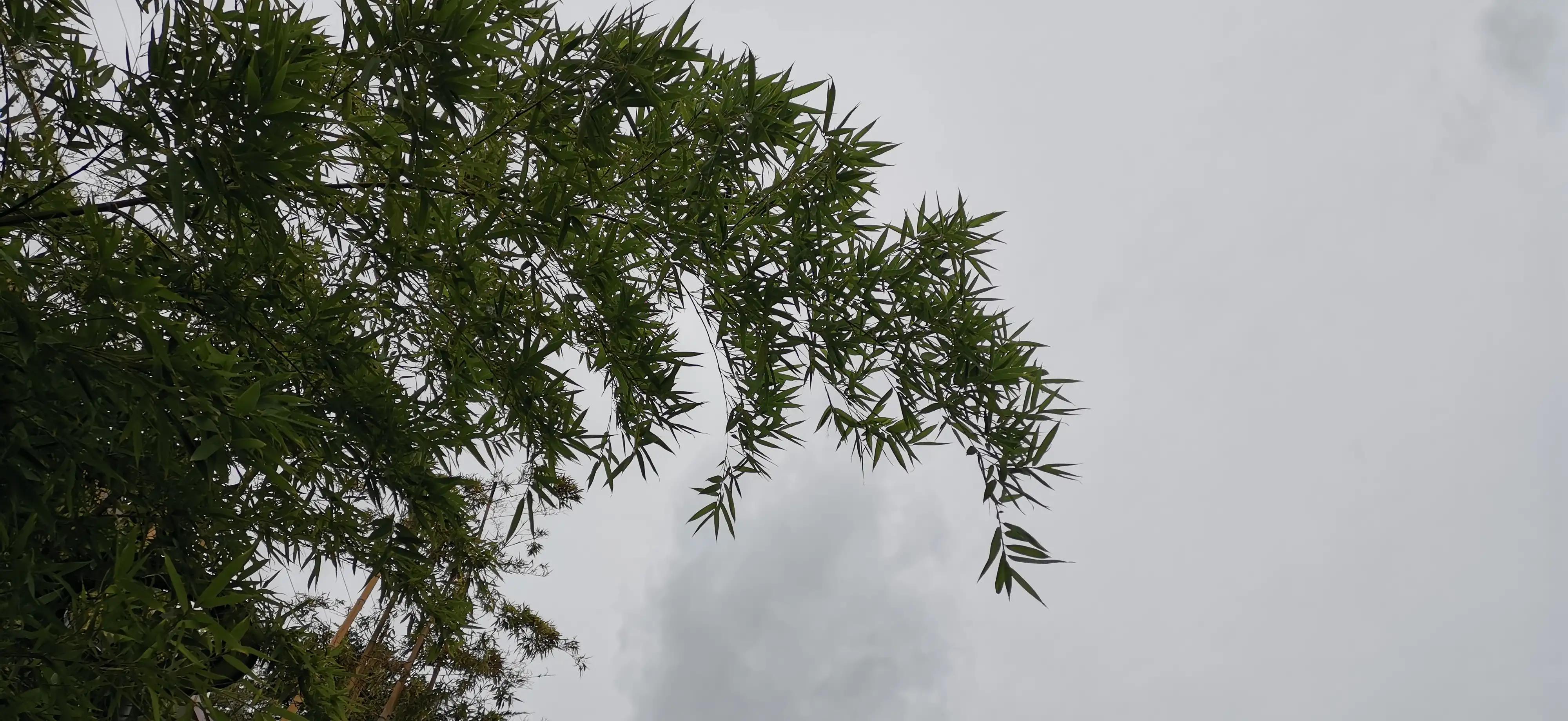 幽默笑话搞笑段子图片大全高清,幽默笑话大全经典搞笑段子下载