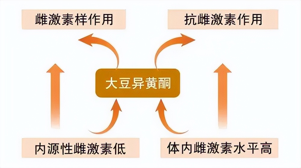 不想雌激素枯竭日常做好这几件事,女性更年期雌激素枯竭的表现