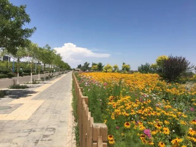 去甘肃旅游后的感受,去甘肃旅游记录