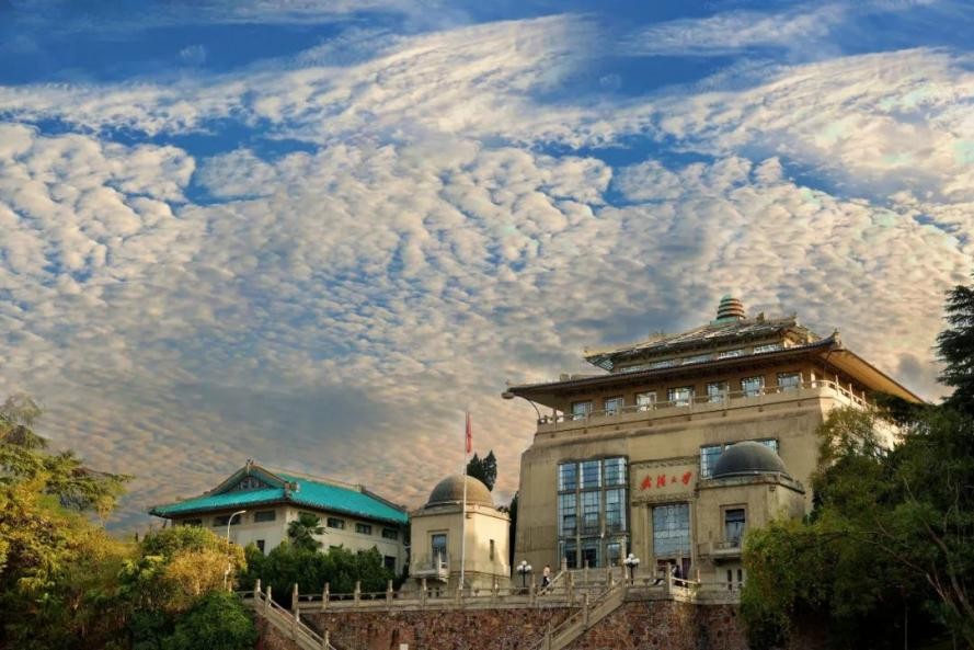 武汉大学国家网络安全学院,武汉大学国家网络安全学院是211吗