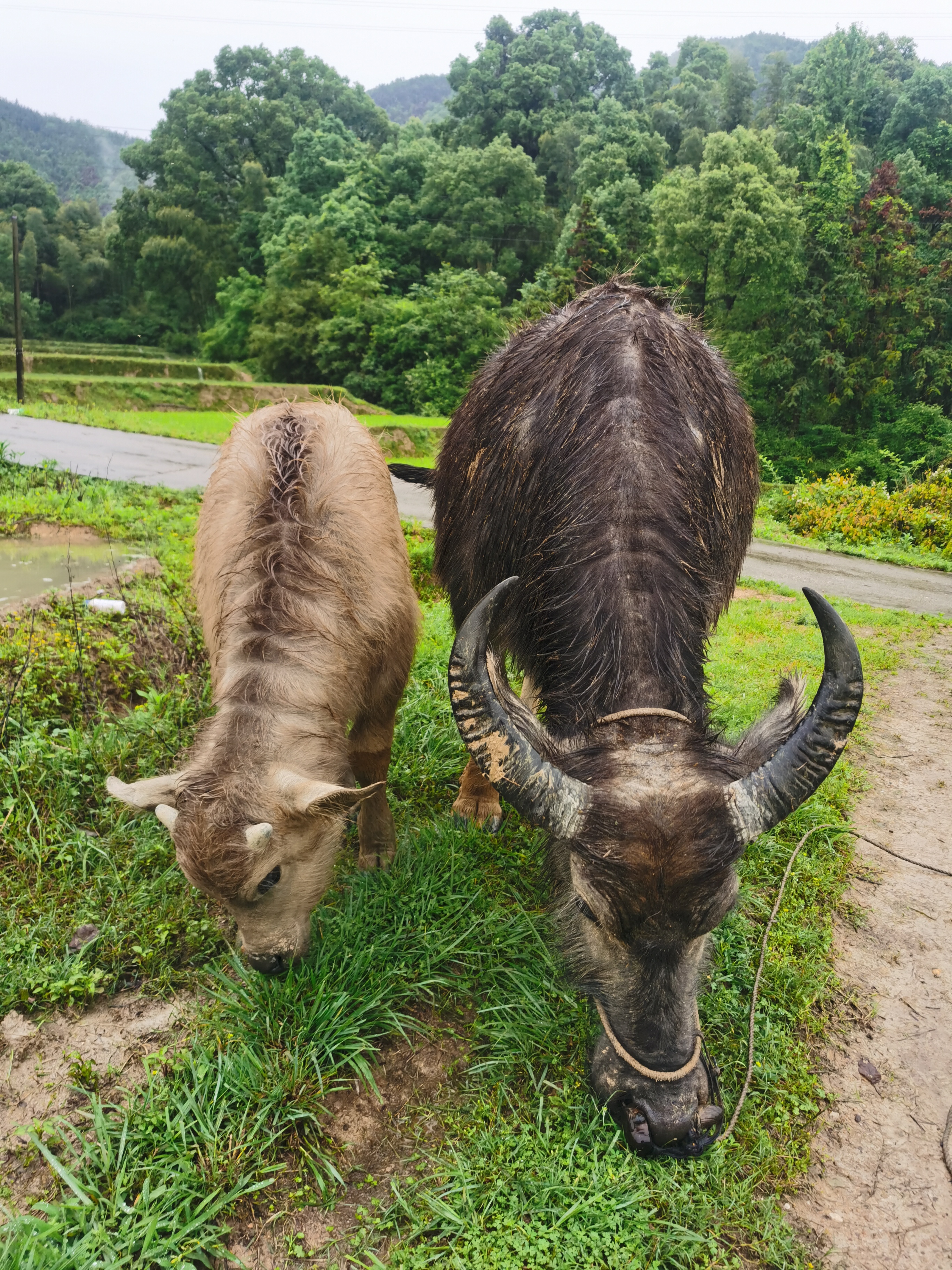 在乡下干活累死了,种地一亩地能赚500块钱吗