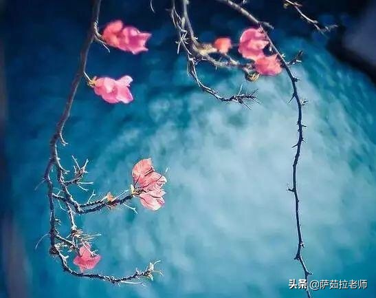 老板生孩子送什么礼物好,给年轻的老板送什么礼物