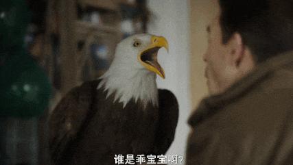 hbo即将上映,hbo再出神剧