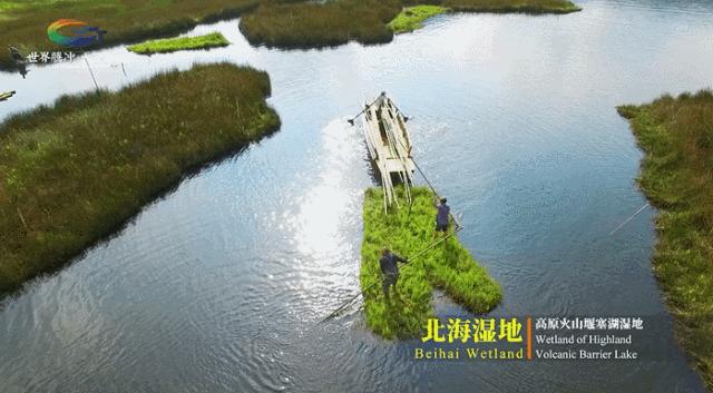 年度最佳22℃暖冬小城!全国唯一半城银杏,半城温泉!现在来刚好