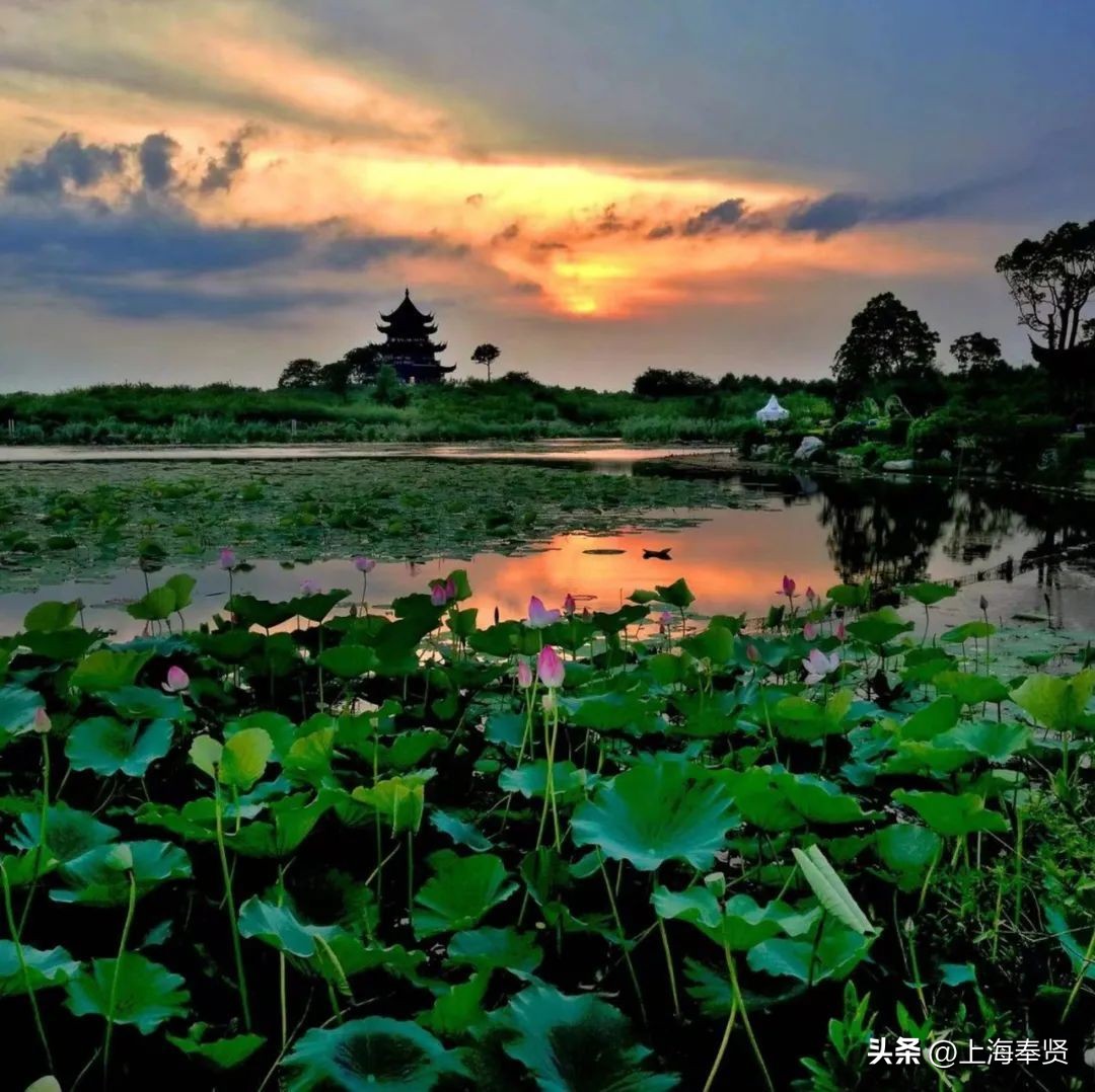休憩一夏，趣味海湾