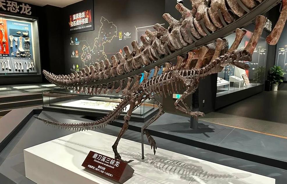 重庆自然资源科普馆有讲解吗,重庆自然资源科普馆一共几个馆