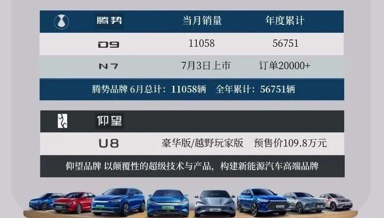 比亚迪汉销量2021全年销量,比亚迪唐dmi销量2021全年销量