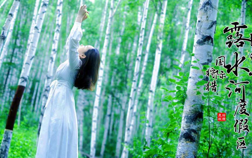 来白山,来长白山别只顾着打卡