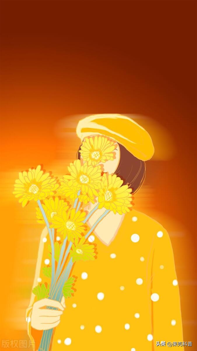 第三篇：花的奥秘|植物探秘：探索奇妙的绿色世界