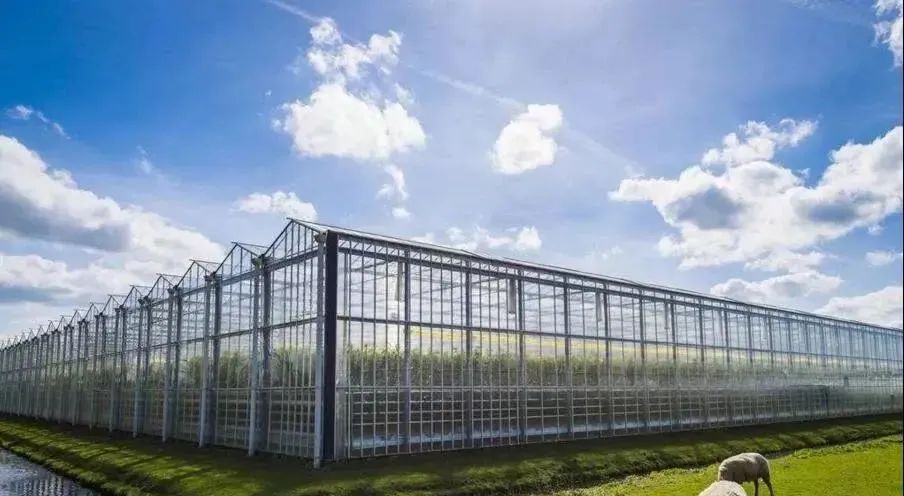 农业主题公园怎么打造,世界最成功的农业主题公园