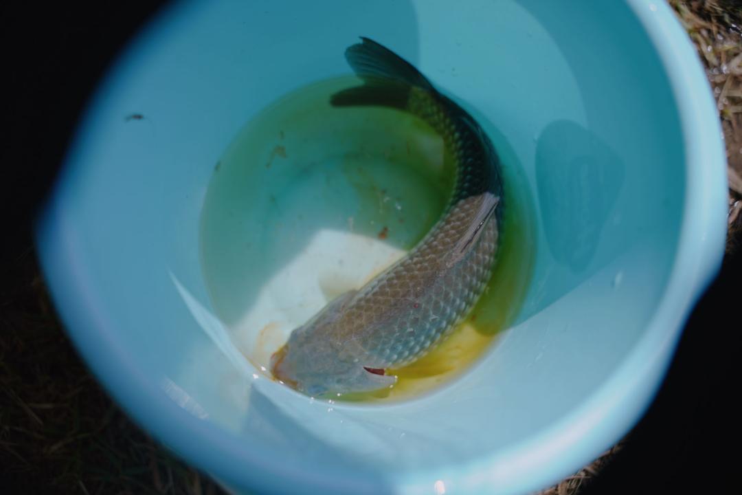 孩子经常提问我该怎么办,孩子问什么都不说怎么沟通