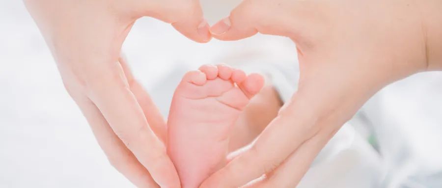 全都免费,通通免费