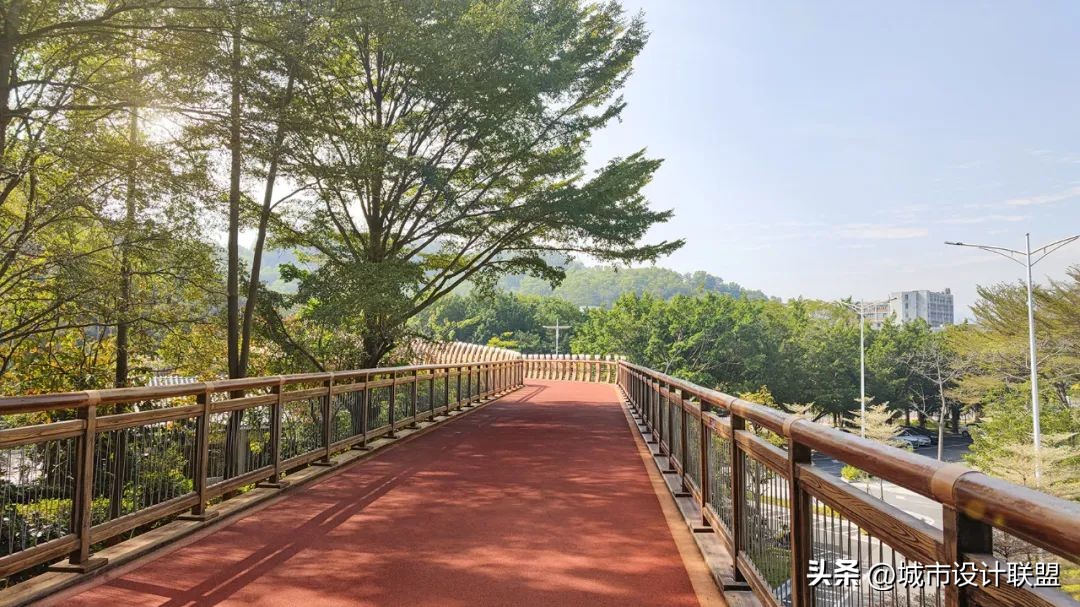 城市景观道路设计,城市景观道路结构