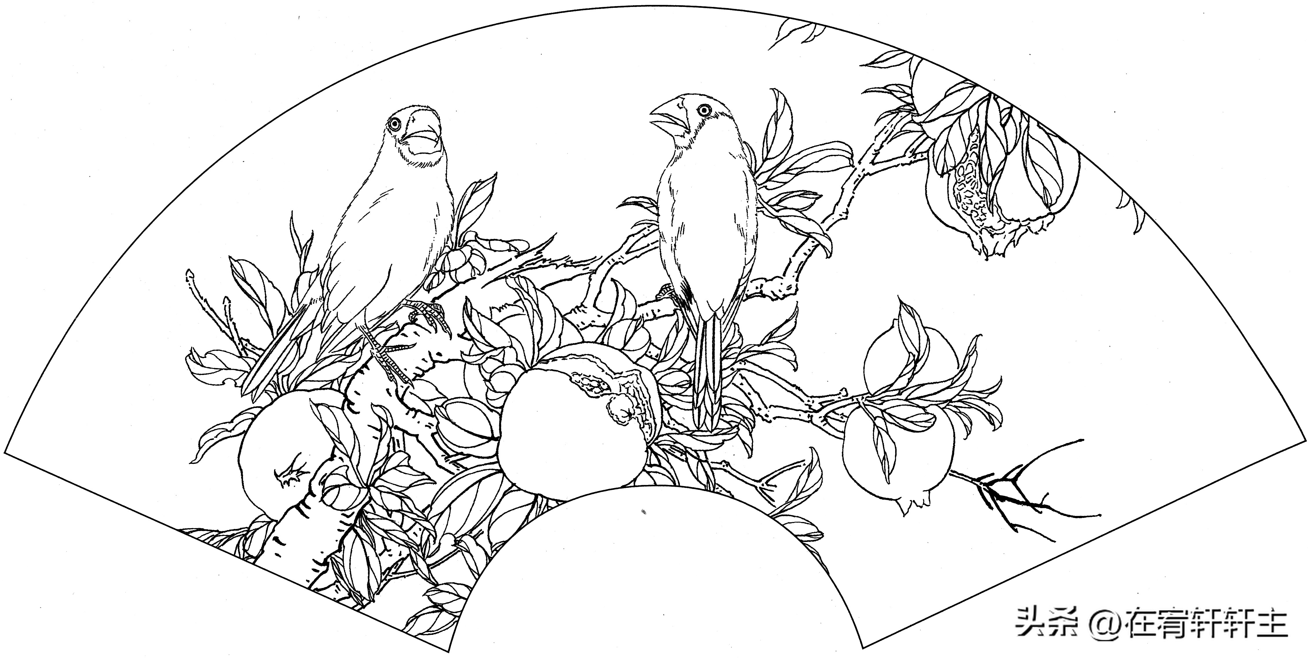 工笔白描祥云图案扇面,工笔扇面葡萄白描图片