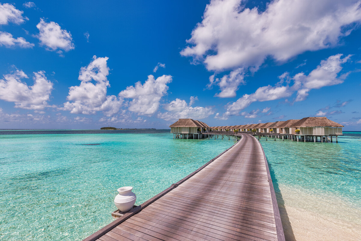 适合水库养殖的项目,大型水库养殖新模式