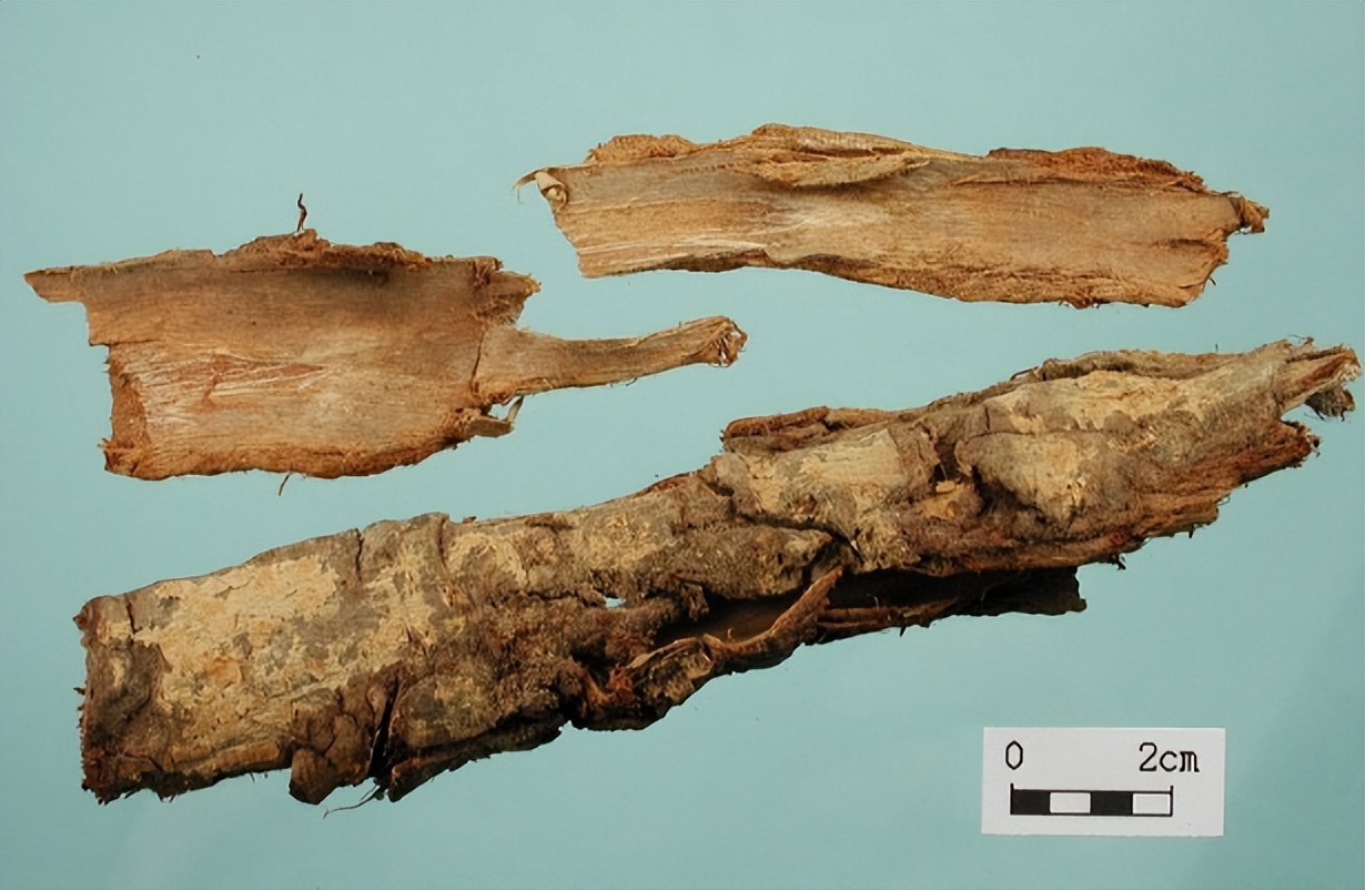 土荆皮显微鉴别图片,什么代替土荆皮