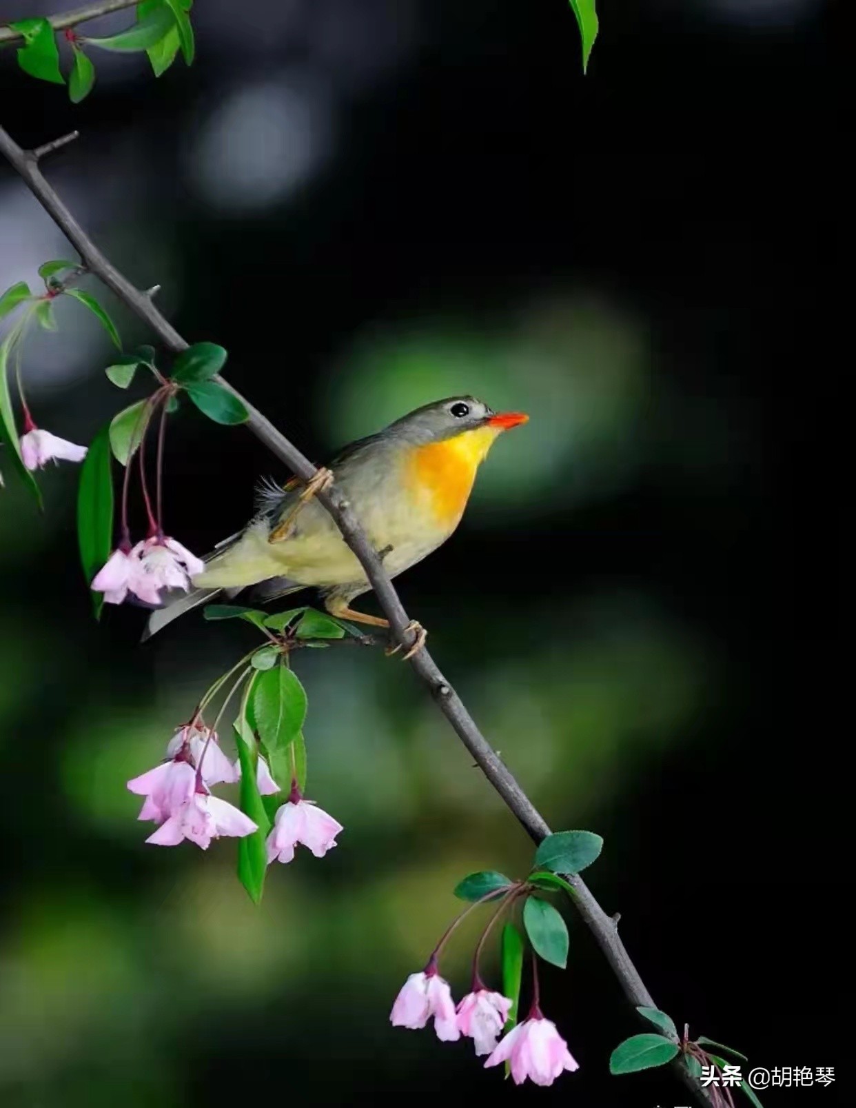 100个姓氏诗词,姓氏诗100句