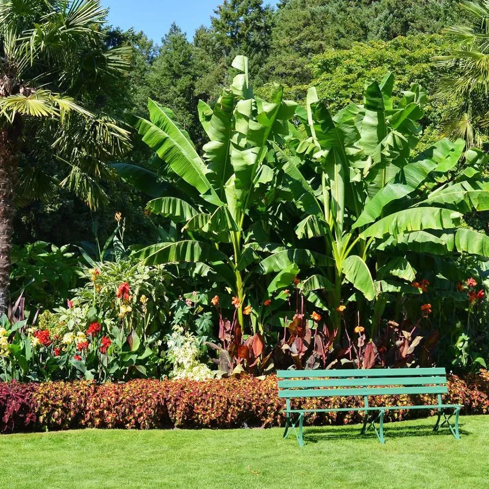 最美的十座园林,中国十大最美园林之留园