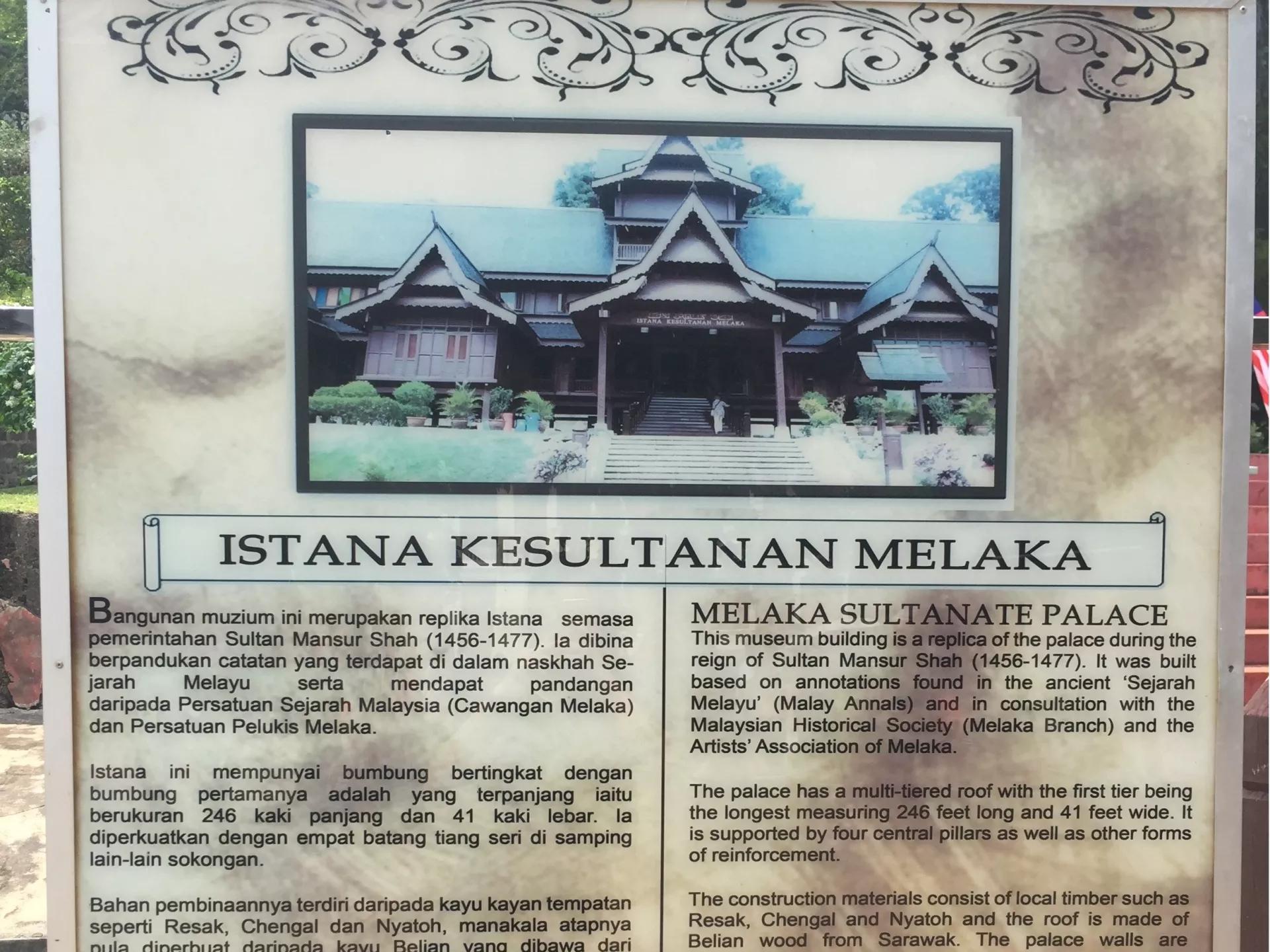 钱猫猫王者荣耀,钱猫猫的视频