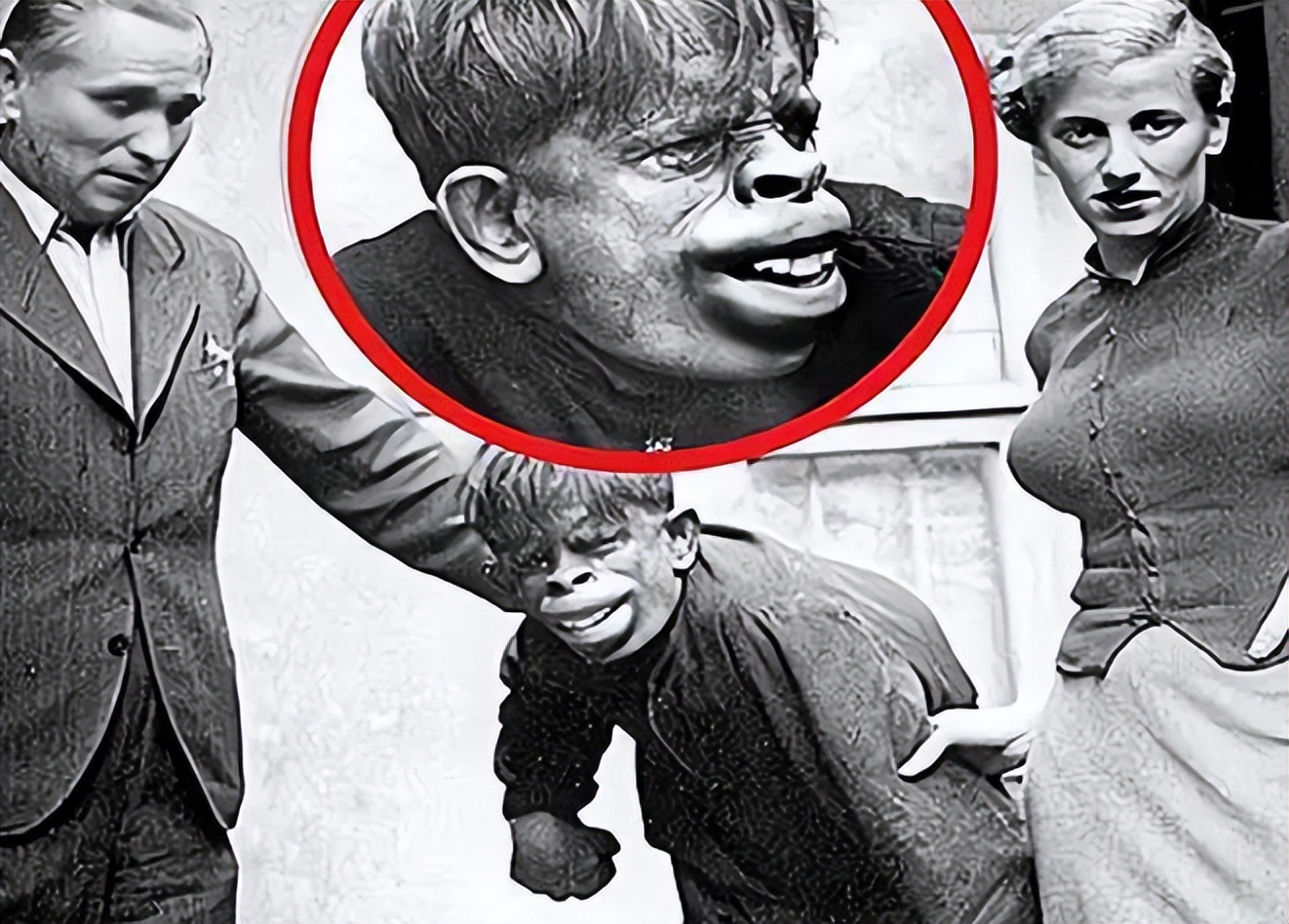 为什么日本人要杂交胚胎实验,日本人的杂交实验成功了吗