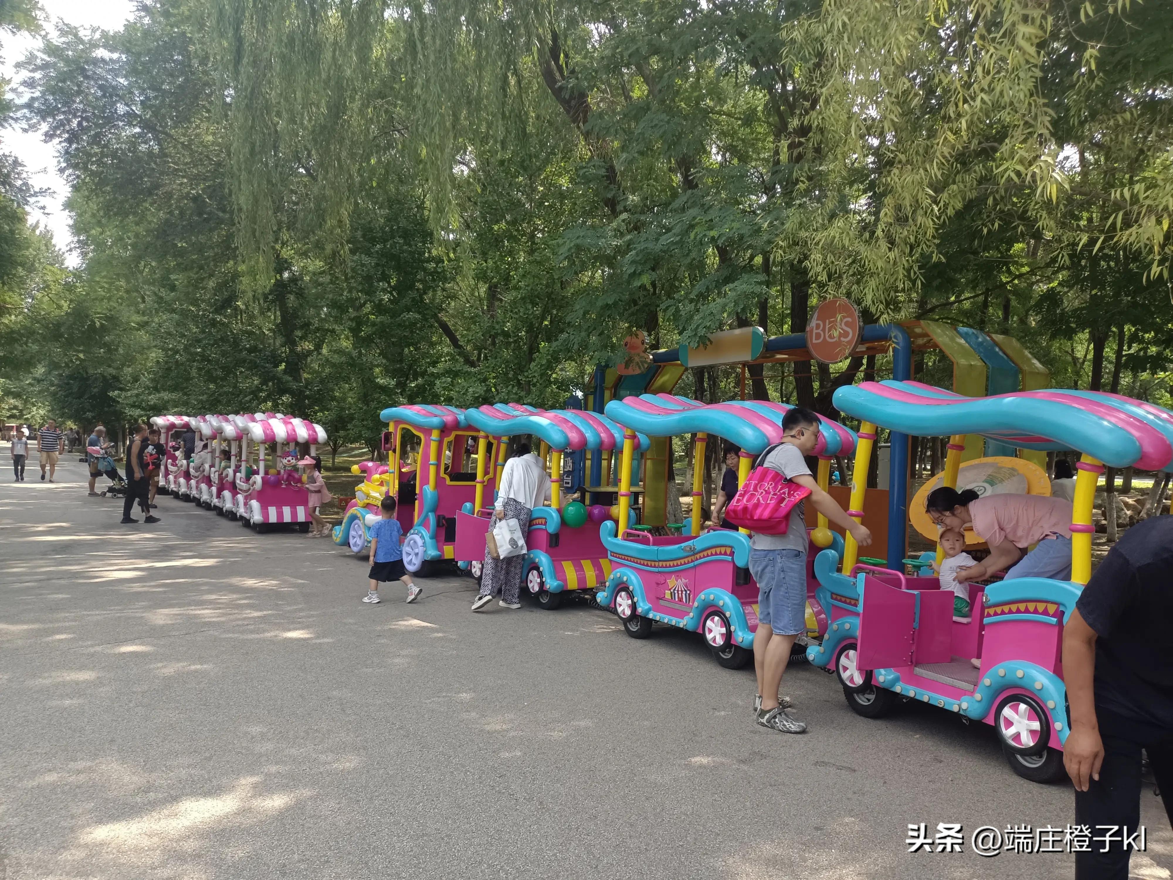 沈阳长白岛森林公园值得去吗,沈阳周末好去处长白岛森林公园