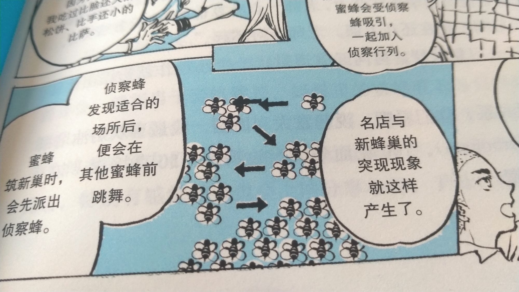 数学购物买几送几,数学购物划算问题