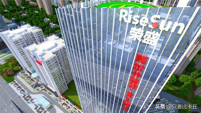 河北王荣盛,荣盛发展业绩