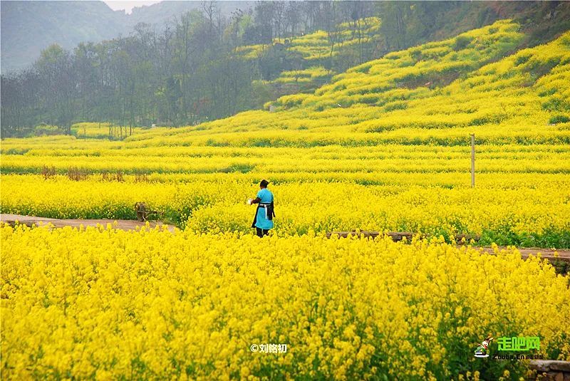 安顺市自然风景区,贵州安顺风景介绍视频