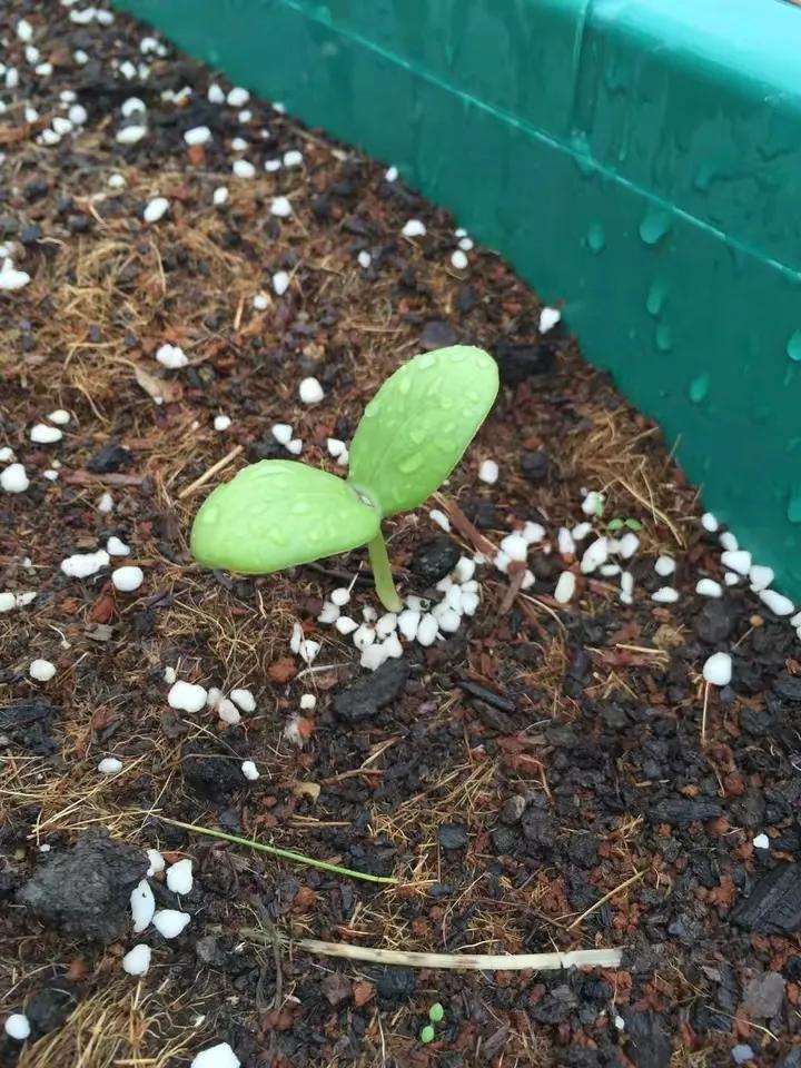 如何花最少的钱改造出租屋,怎样花最少的钱布置出租房