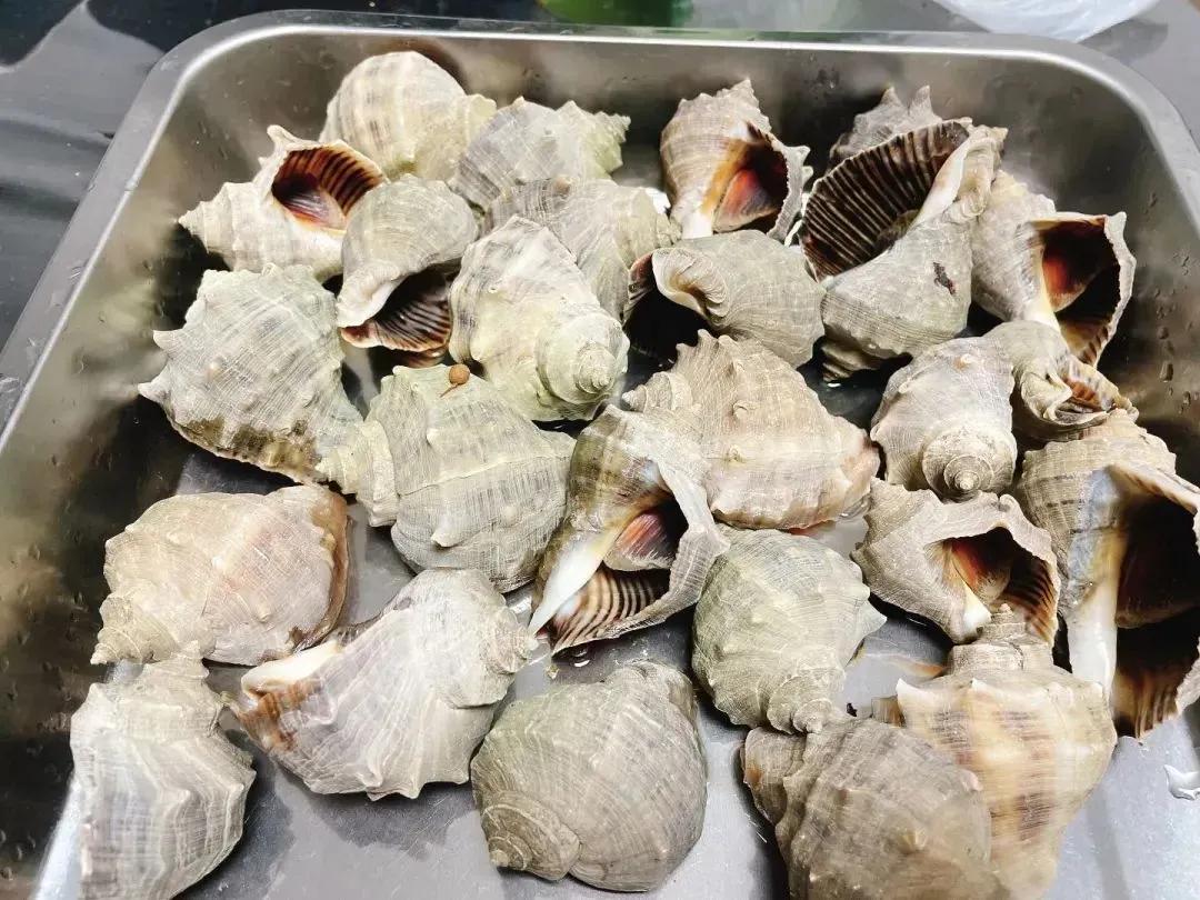 烟台海鲜推荐便宜的有哪些,烟台夏季海鲜有哪些好吃的