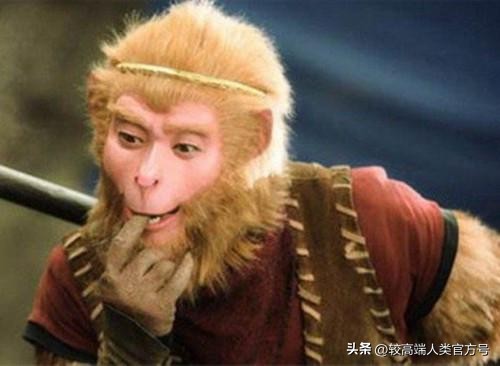 妖魔鬼怪认识孙悟空,妖魔鬼怪神仙区别