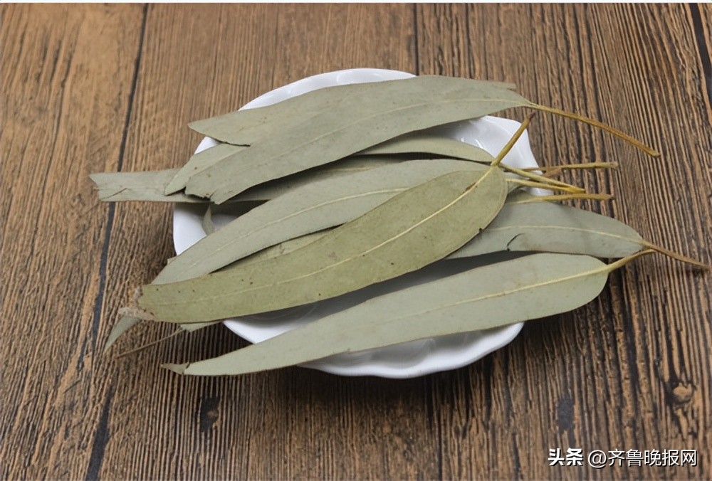 饭店有蟑螂怎么消灭小妙招,衣柜彻底消灭蟑螂小妙招