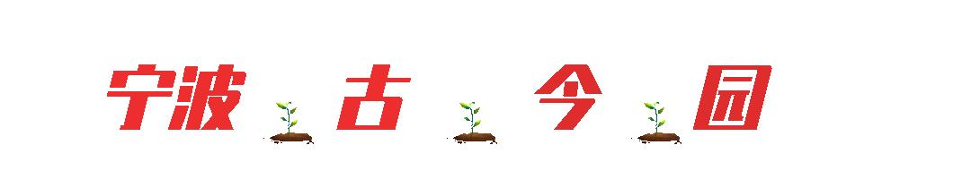 秀外慧中梅花秀,秀外慧中红秀